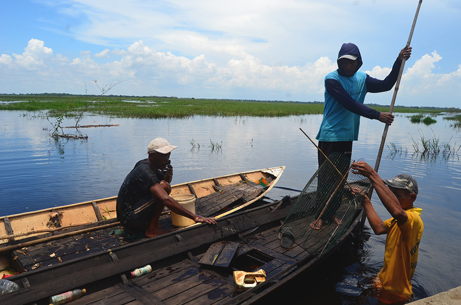 Hujan Terus Turun, Ribuan Hektar Sawah di Sumatera Selatan Terancam Gagal&nbsp;Tanam