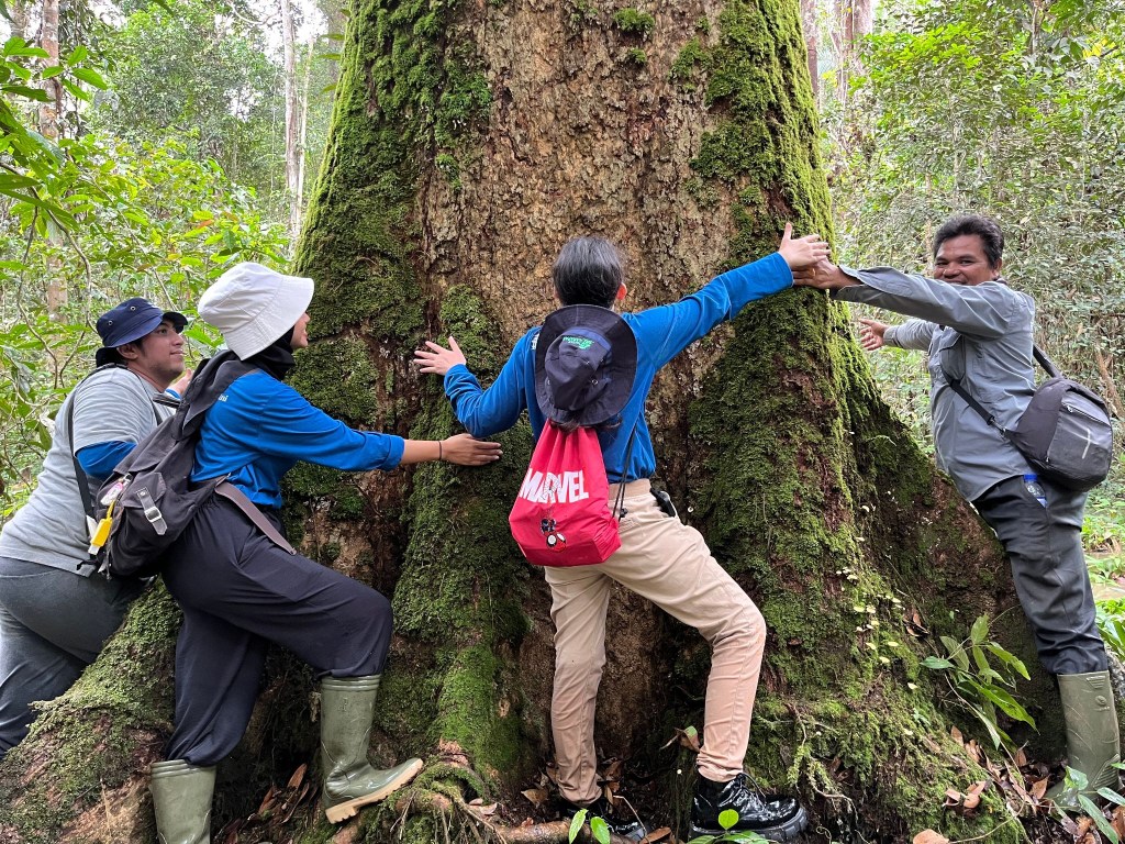 Jelajah Hutan Harapan, Flora dan Fauna Unik yang Bisa Kita&nbsp;Temui