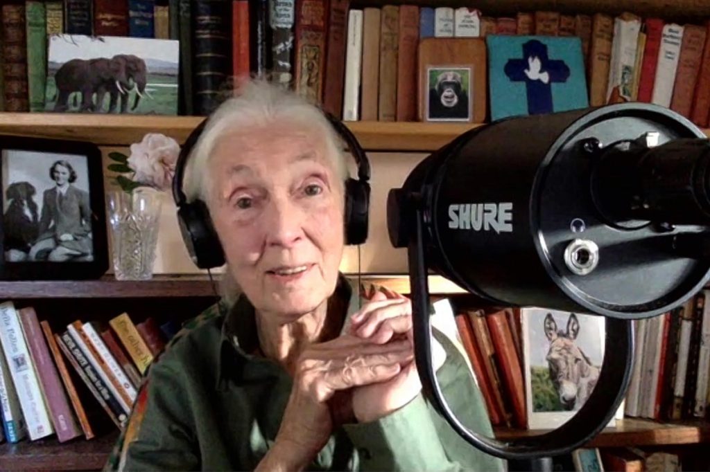 Wawancara: Jane Goodall 90 Tahun, Bicara Harapan dan Empati pada&nbsp;Alam