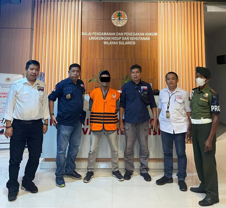 Pemodal Perusakan Hutan CA Faruhumpenai Ditangkap Gakkum KLHK&nbsp;Sulawesi