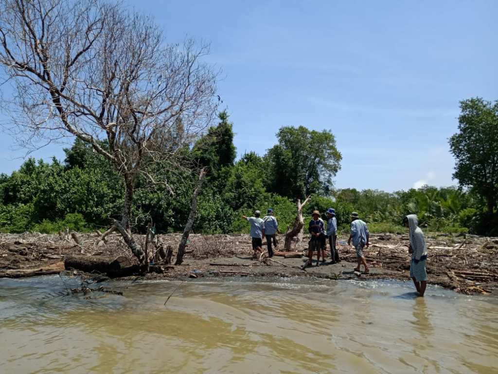 Jaga Hutan Mangrove Tak jadi Sawit, Ilham Ditangkap&nbsp;Polisi