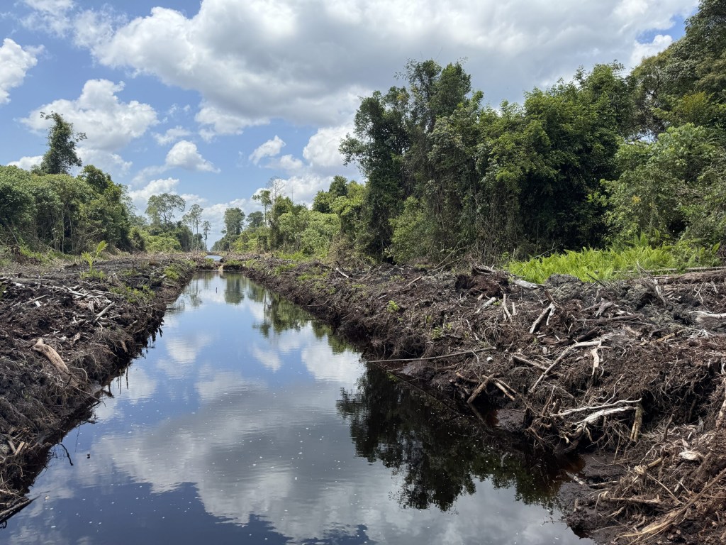 Was-was Bencana Kala Perusahaan Babat Hutan dan Gambut di&nbsp;Kalbar