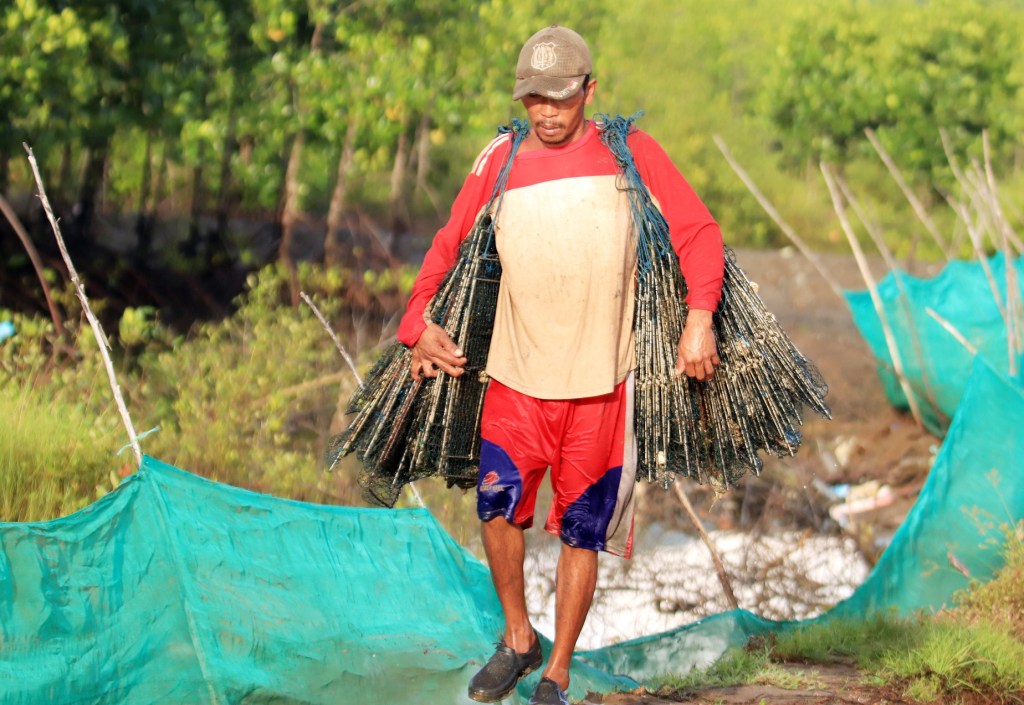 Hutan Mangrove, Penjaga Ekosistem dan Kehidupan&nbsp;Kepiting
