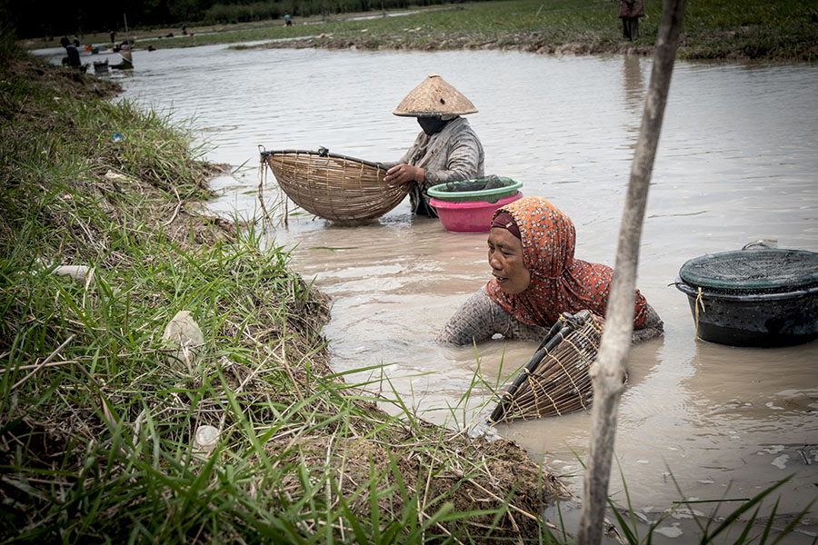 Peran Hebat Perempuan di Lahan Basah Sungai&nbsp;Musi