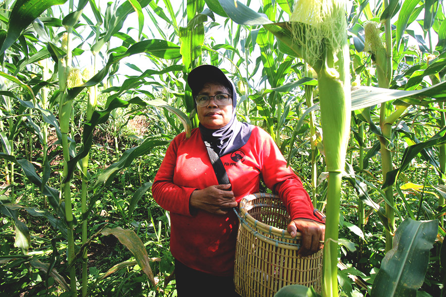 Nasib Perempuan Tani Kumpeh saat Berkonflik Lahan dengan Perusahaan&nbsp;Sawit