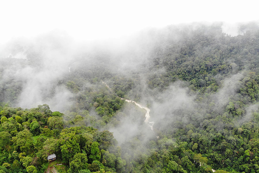 Kajian Walhi Sumut: Koridor Dolok – Batang Toru Wilayah Jelajahnya Orangutan&nbsp;Tapanuli
