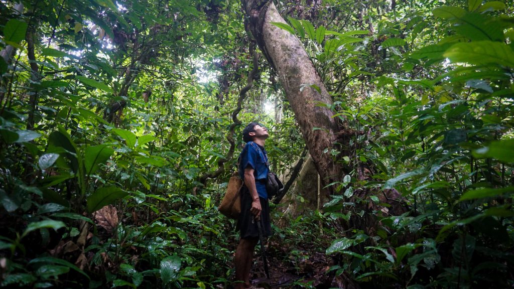 Komunitas Punan Batu Benau Was-was Perambahan Hutan&nbsp;Adat