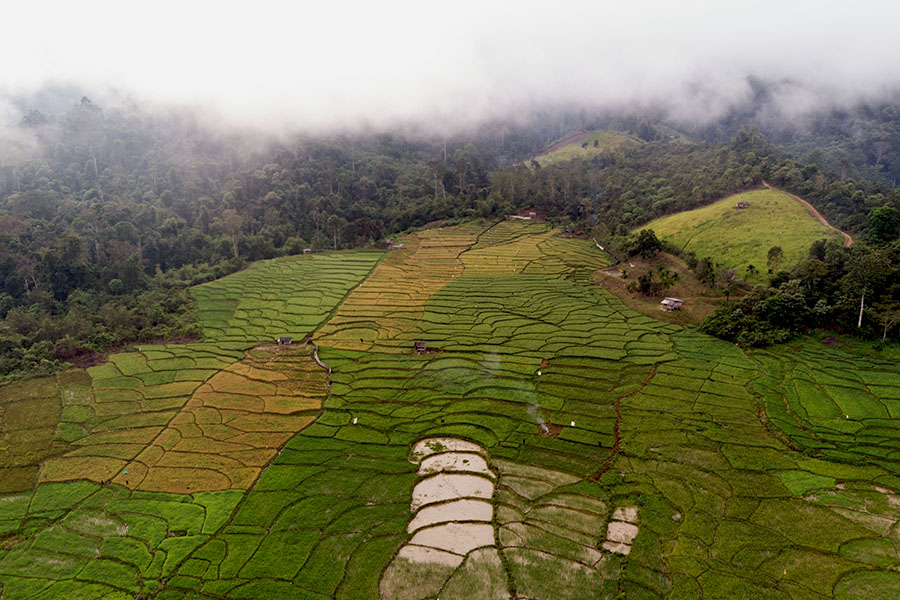 Hari Populasi Sedunia: Pertumbuhan Manusia dan Ancaman Kerusakan&nbsp;Lingkungan