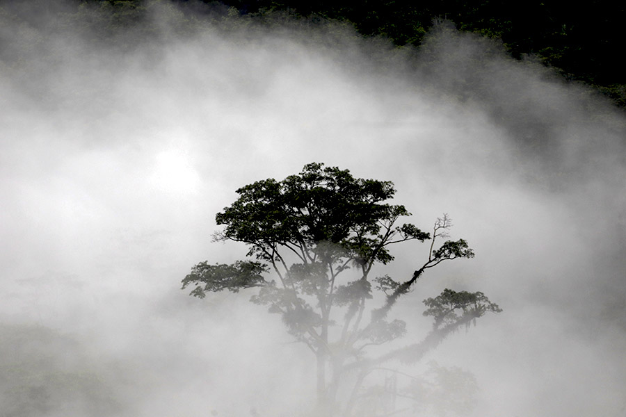 Manusia dan Persoalan Pelestarian Lingkungan&nbsp;Hidup