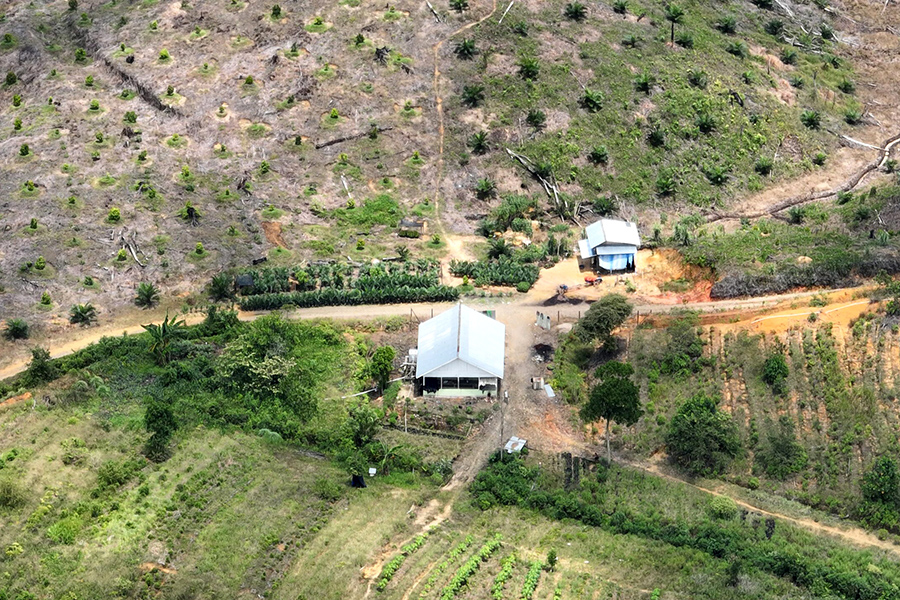 TN Gunung Leuser Wilayah Aceh Belum Bebas&nbsp;Perambahan