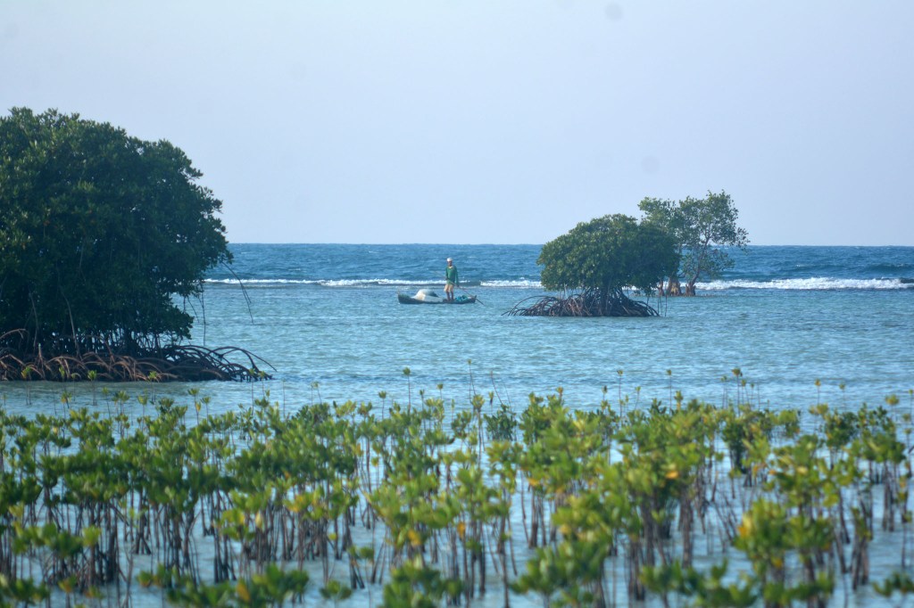 Upaya Warga Pulau Pari Hadapi Krisis Iklim&nbsp;[1]