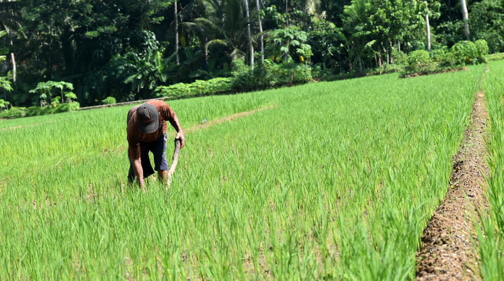 Terus Cemari Lahan Petani, Desak Tambang Tembaga Setop&nbsp;Operasi