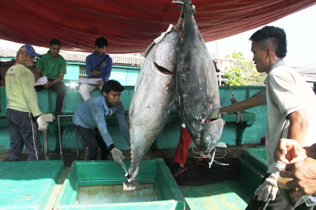 Kisah Nelayan: Bertaruh Nyawa Menangkap Ikan&nbsp;Tuna