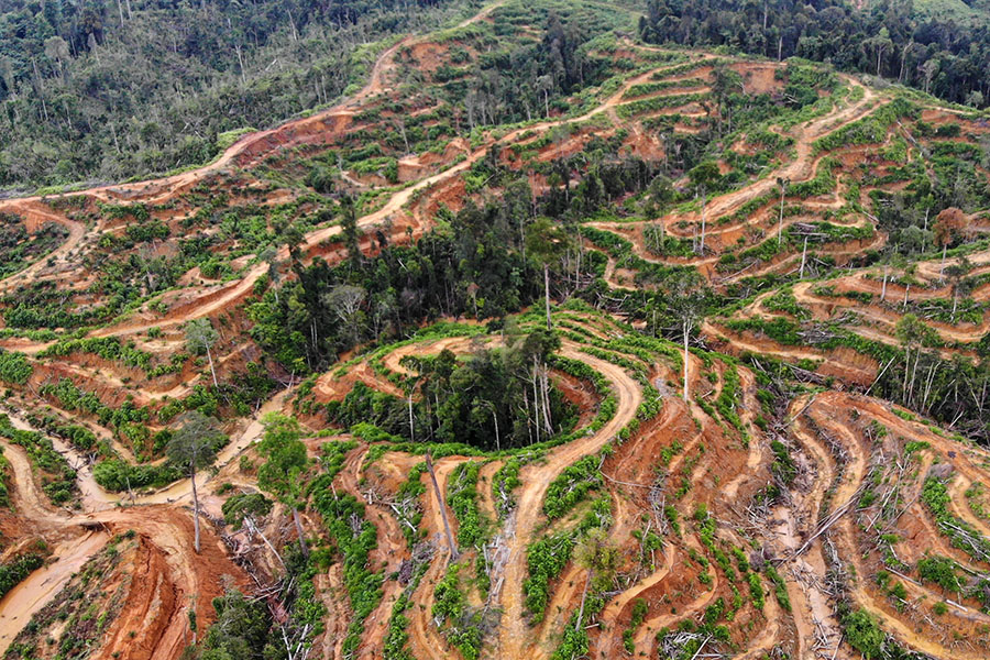 Buka Kebun Sawit Tanpa Izin, Perusahaan ini Rusak Lingkungan&nbsp;Subulussalam