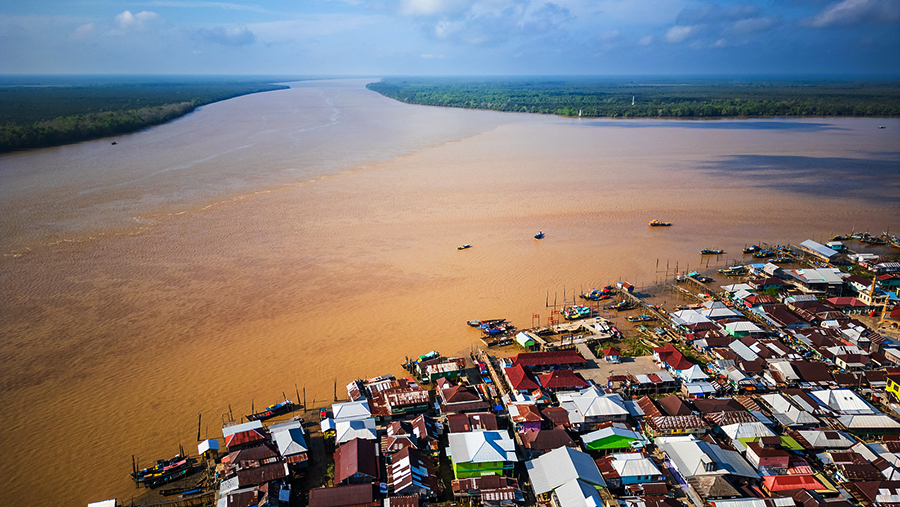 Mangrove yang Dekat dengan Kehidupan Masyarakat&nbsp;Sungsang
