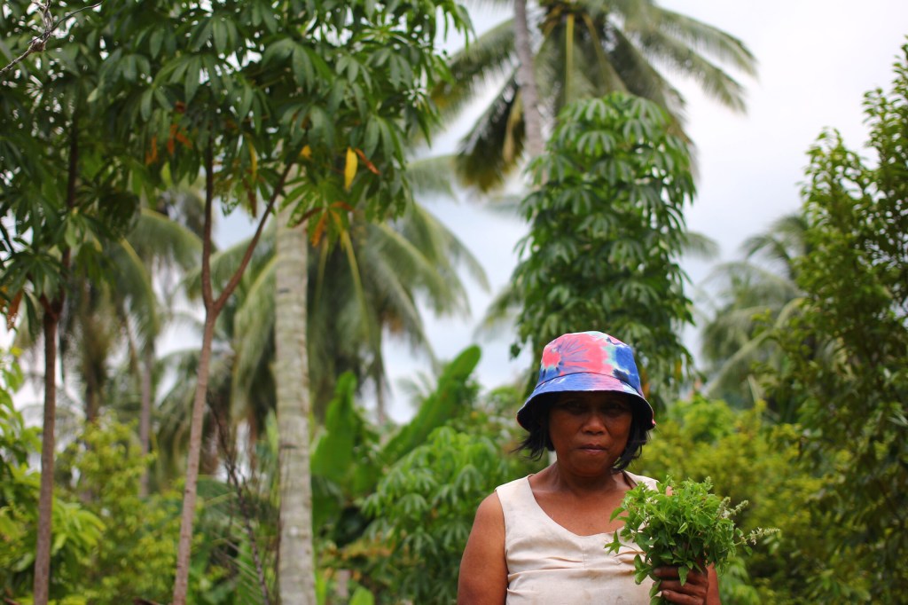 Balada Kemiskinan dan Harapan Perubahan Petani&nbsp;Blongko
