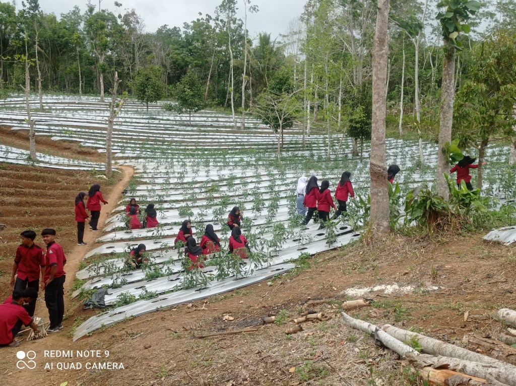 Gerak Serikat Petani Pasundan Wujudkan Mandiri&nbsp;Agraria