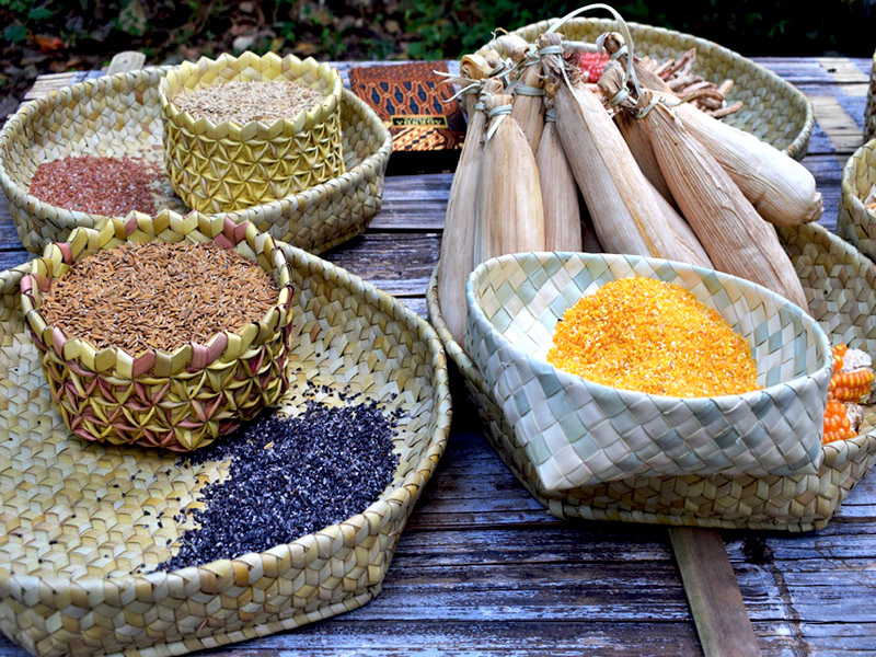 Mengapa Pangan Lokal Indonesia Masih&nbsp;Terabaikan?