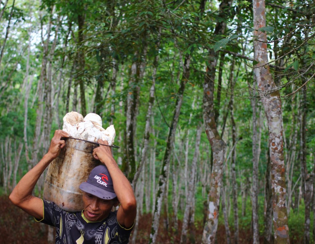 Cerita Petani Tebo Berjuang Pertahankan&nbsp;Tanah
