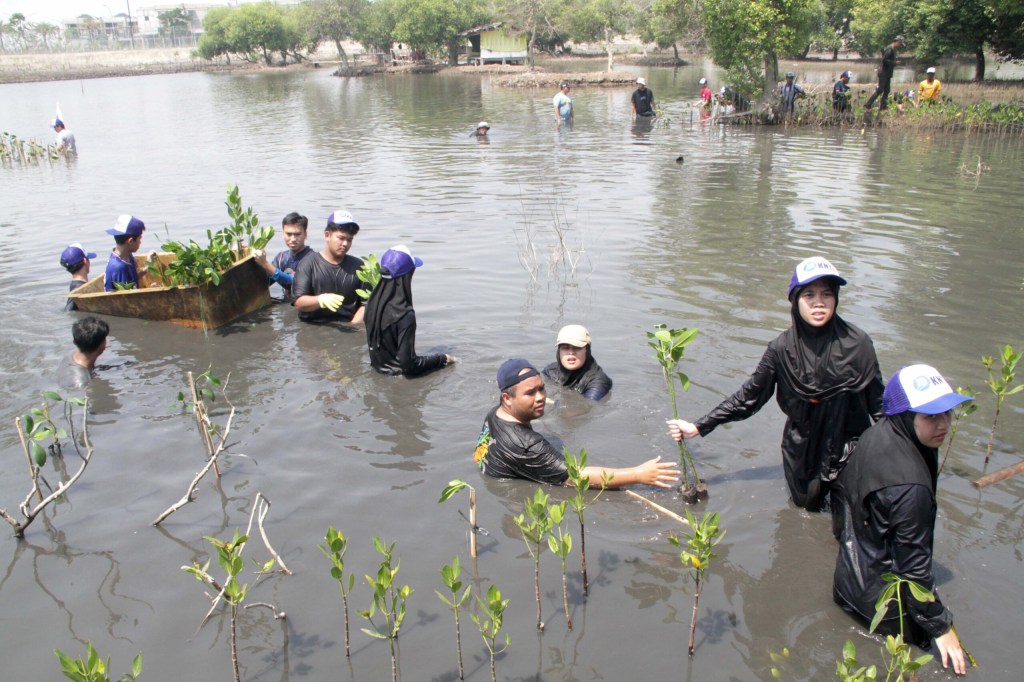 Santri dan Nelayan Bersatu Selamatkan Mangrove Pantai Tanjung Pasir&nbsp;Tangerang